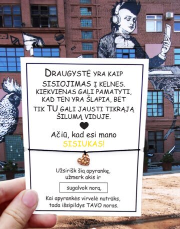 Draugystė yra kaip sisiojimas