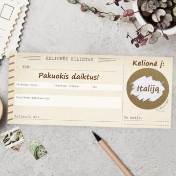 Kelionės bilietas...
