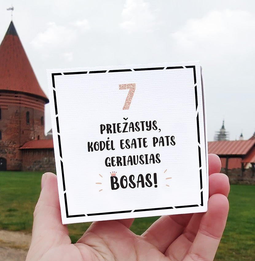 7 priežastys, kodėl easte pats geriausias bosas! 7 priežastys, kodėl esate pati geriausia bosė! - Image 2