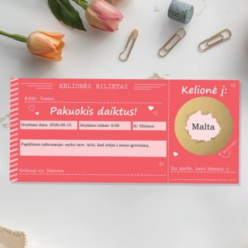 Kelionės bilietas
